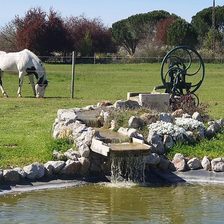 לינה וארוחת בוקר Lisle-sur-Tarn Domaine Christanna מראה חיצוני תמונה