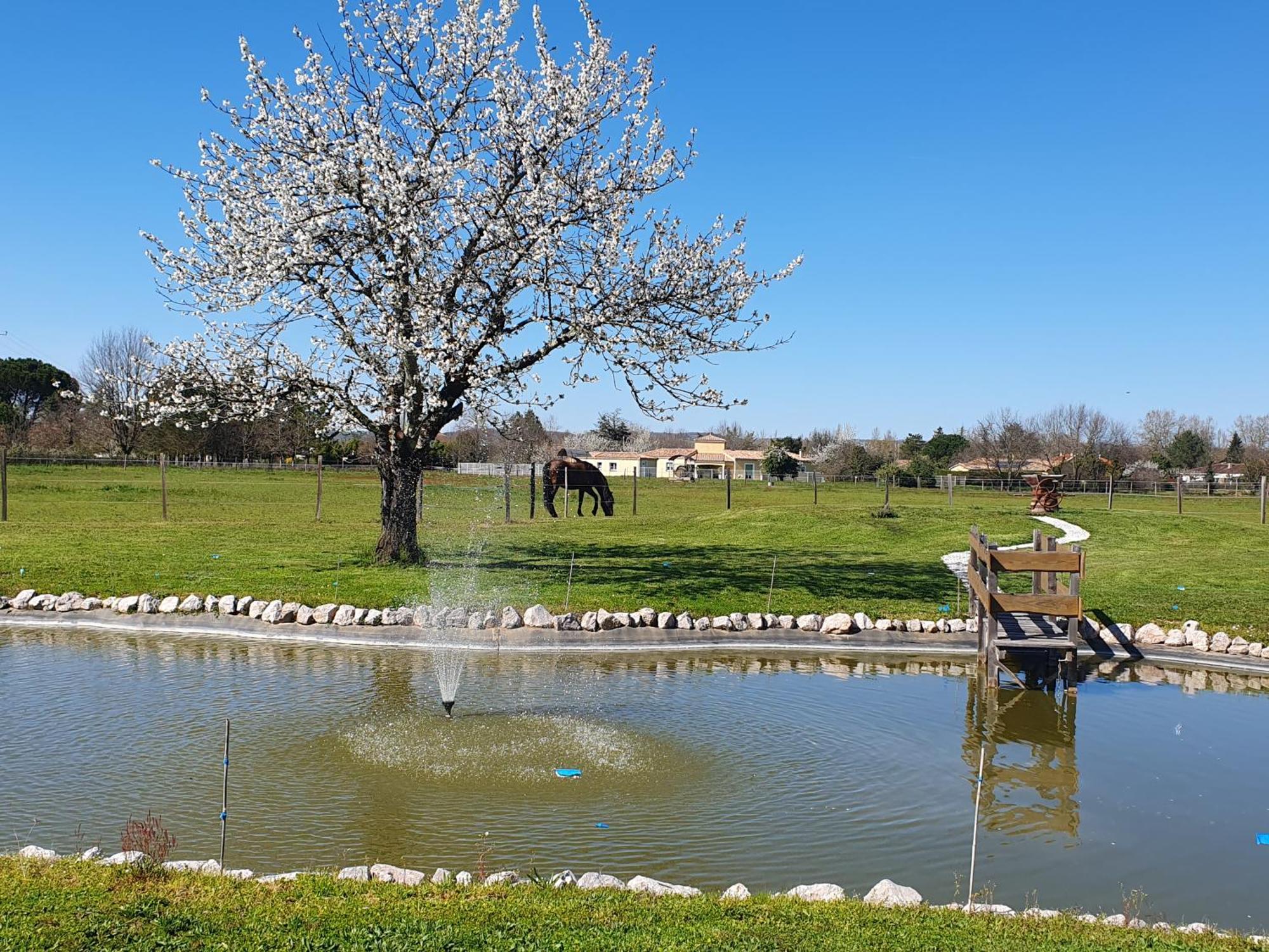 לינה וארוחת בוקר Lisle-sur-Tarn Domaine Christanna מראה חיצוני תמונה